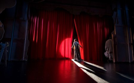 Государством выплачиваются стипендии студентам, магистрантам и аспирантам, обучающимся в России по творческим направлениям