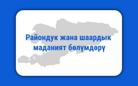 Райондук жана шаардык маданият бөлүмдөрү