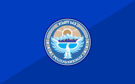 МФГС
