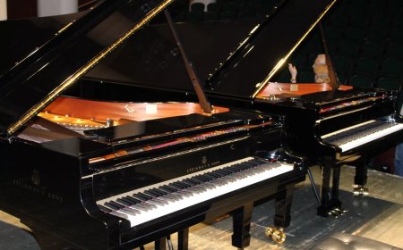 Мамлекет тарабынан маданият тармагына бөлүнгөн каражаттарга Маданият министрлигинин карамагындагы окуу жайларга музыкалык аспаптар алынат