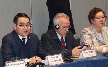 Маалыматка жетүү үчүн улуттук өнөктөштөрдүн керектөөлөрүн ыкчам баалоо, медиа сабаттуулукту илгерилетүү жана плюрализмди өнүктүрүү жаатында улуттук консультативдик жолугушуу болуп өттү