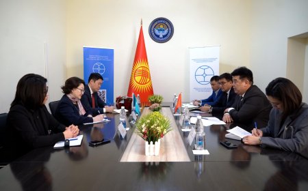 Алтынбек Максутов встретился с Президентом Фонда тюркской культуры и наследия Раимкуловой Актоты Рахматуллаевной