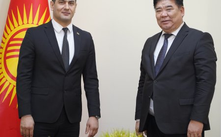 Алтынбек Максутов Түркмөнстандын Кыргыз Республикасындагы Атайын жана Ыйгарым Укуктуу Элчиси Нура Голлиев  менен жолугушту