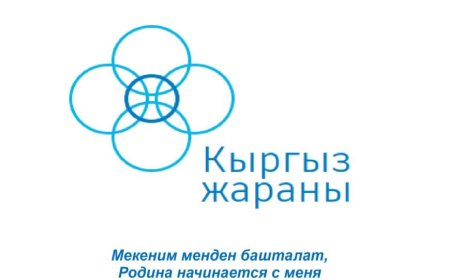 Кыргыз жараны