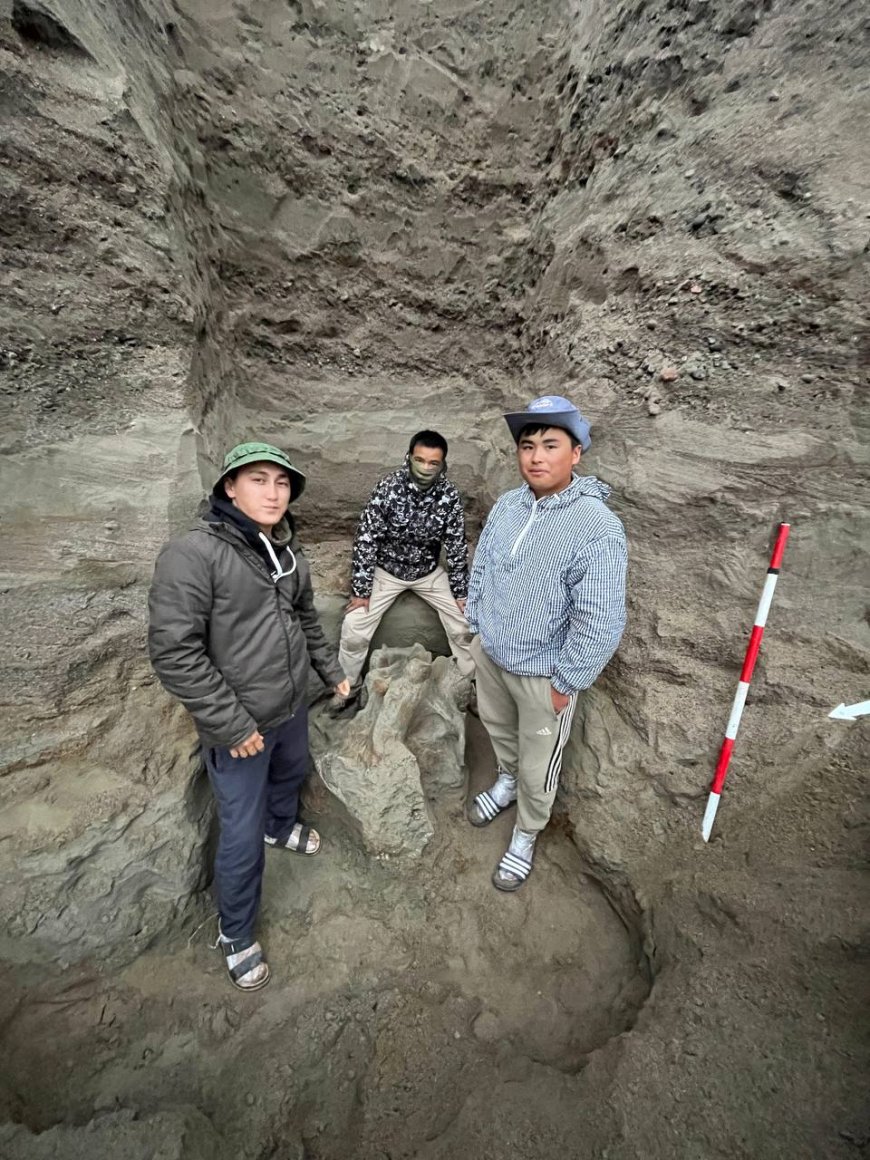Находка костей мамонта в карьере Жыргалан
