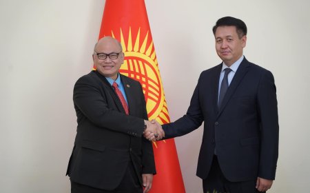 Заместитель министра Тимурлан Ажымалиев встретился с Чрезвычайным и Полномочным Послом Малайзии в Кыргызской Республике