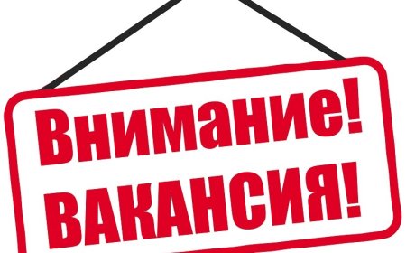 С.А. Чуйков атындагы Кыргыз мамлекеттик көркөм сүрөт окуу жайынын директору бош кызмат ордуна сынак жарыяланат