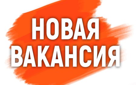 С.А. Чуйков атындагы Кыргыз мамлекеттик көркөм сүрөт окуу жайынын директору бош кызмат ордуна сынак жарыяланат