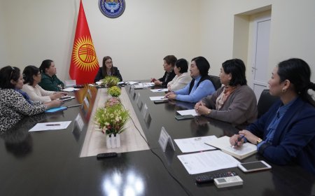 Маданият министринин орун басары Гүлбара Абдыкалыкова Кыргызстандын китепканаларынын жетекчилери менен жолугушуу өткөрдү