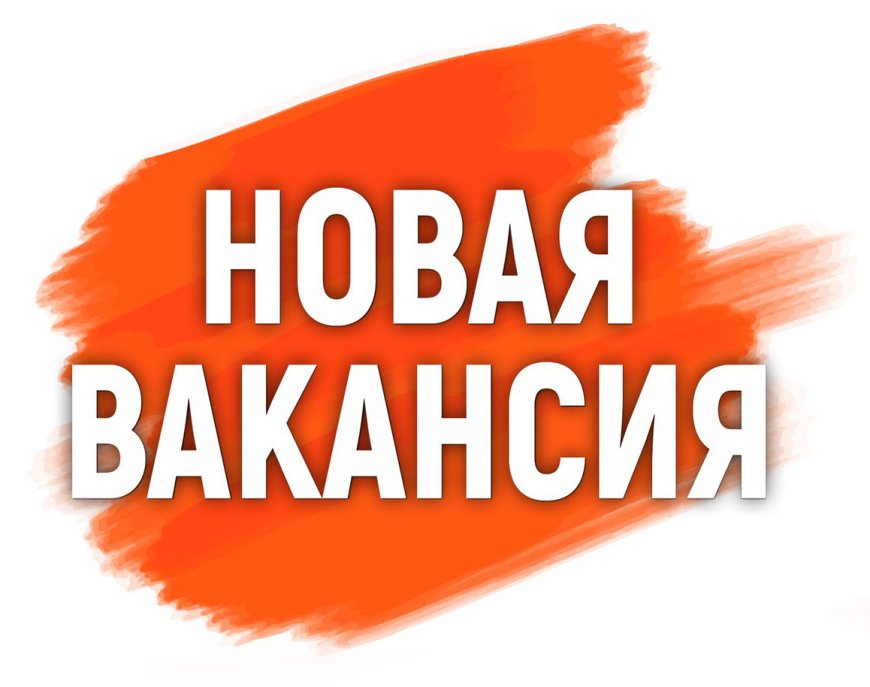 С.А. Чуйков атындагы Кыргыз мамлекеттик көркөм сүрөт окуу жайынын директору бош кызмат ордуна сынак жарыяланат