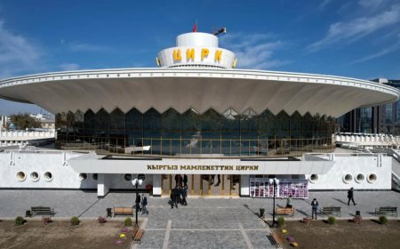 В ответ на жалобы сотрудников Кыргызского государственного цирка имени А. Изибаева, адресованные в отношении работы действующего директора Светланы Ашировой, Министерство культуры, информации, спорта и молодежной политики Кыргызской Республики объявляет о создании специальной комиссии для всестороннего расследования.