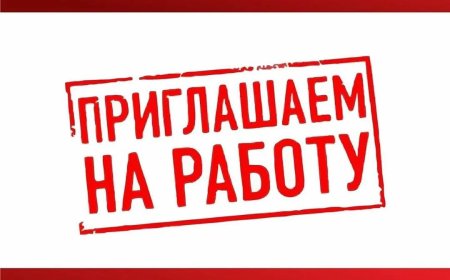 Государственное учреждение Научно-исследовательский проектный институт (НИПИ) “Кыргызреставрация” при Министерстве культуры, информации, спорта и молодежной политики Кыргызской Республики объявляет прием документов на замещение вакантных должностей: