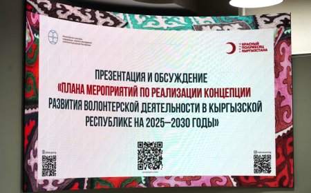 Ыктыярчылык ишти өнүктүрүү Концепциясын ишке ашыруу иш-чаралар планы талкууланды