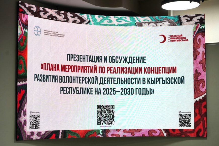 В Бишкеке состоялась презентация по реализации Концепции развития волонтерской деятельности