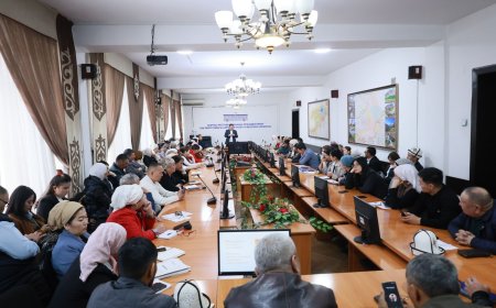 Кыргызстанда мамлекеттик кызматкерлер үчүн медиасабаттуулук боюнча мастер-класстар жыйынтыкталды