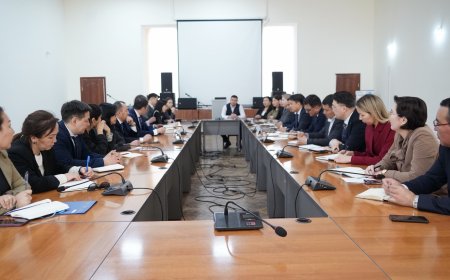 Маданият министрлигинде Кыргыз Республикасынын Тышкы иштер министрлигинин өкүлдөрү менен жолугушуу өттү