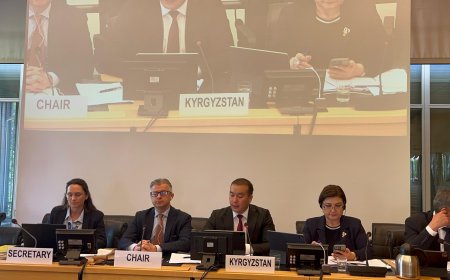Кыргызская Республика представила объединённый 11-й и 12-й периодический доклад по выполнению Международной конвенции ООН о ликвидации всех форм расовой дискриминации