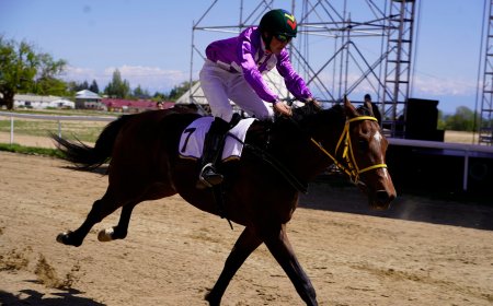 В Чолпон-Ате прошли национальные конные игры на Кубок Председателя Кабинета Министров