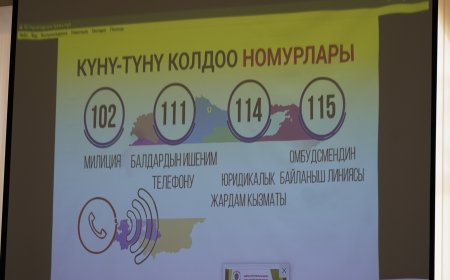 Для сотрудников Министерства культуры было проведено информационное мероприятие по профилактике семейного насилия и защите детей
