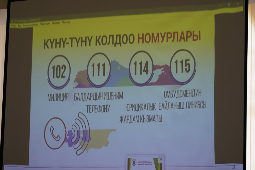 Маданият министрлигинин кызматкерлери үчүн үй-бүлөлүк зомбулуктун алдын алуу жана балдарды коргоо боюнча  маалыматтык иш-чара өттү