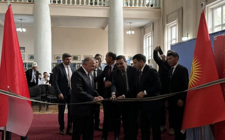 ТҮРК ТИЛДҮҮ ЭЛДЕРДИН АДАБИЯТ БОРБОРУ АЧЫЛДЫ